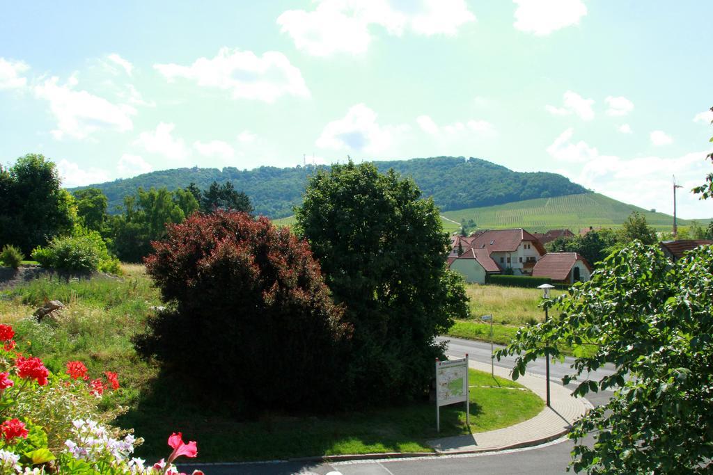 Hotel & Gasthof Zum Roedelseer Schwan Exterior foto